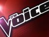 The Voice of HollandAflevering 16